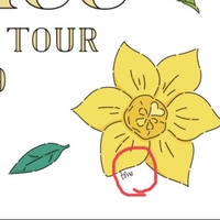キンプリ ツアーロゴのデザインは髙橋海人 サイン記載に歓喜 メンバーの誕生花と花言葉が素敵すぎる